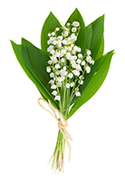 lilly-of-the-valley-posy-537269593_134x200